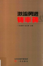 激流勇进铸丰碑 电子书封面