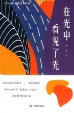 在光中看到了光 封面