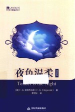 夜色温柔  插画版 封面