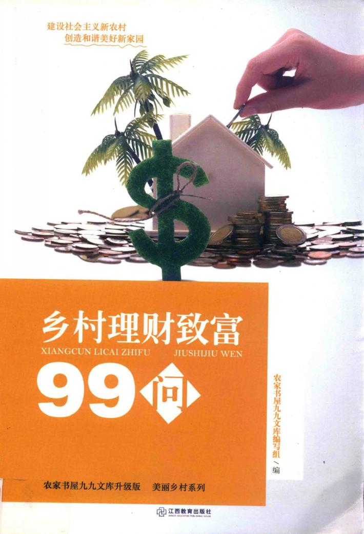 乡村理财致富99问 封面