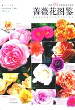 蔷薇花图鉴 封面