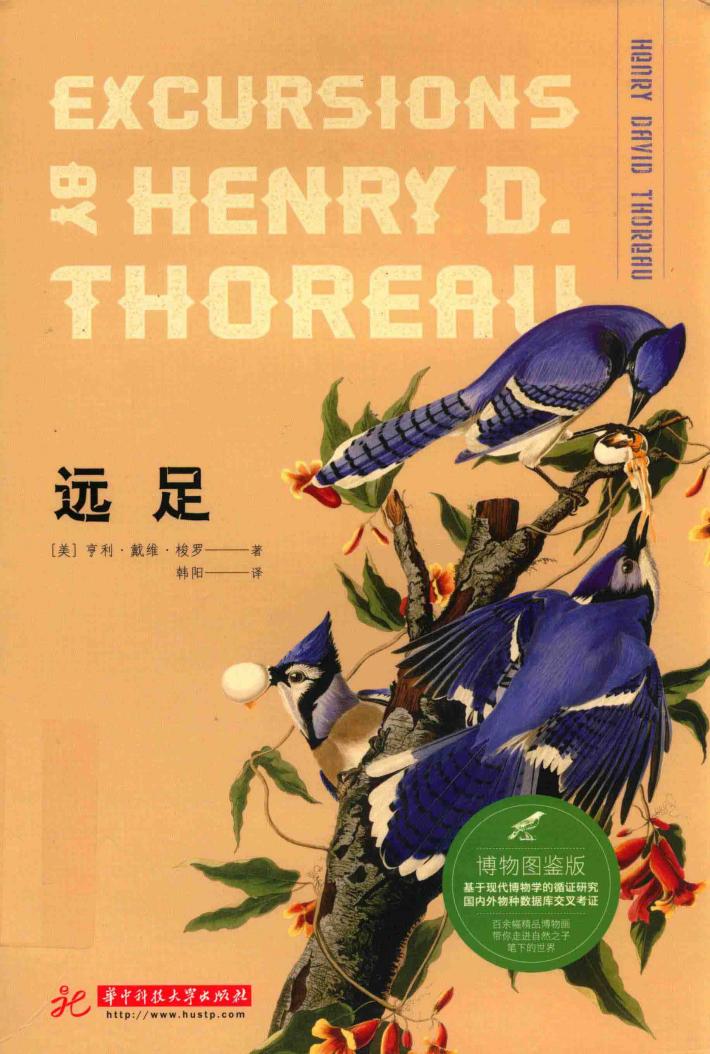 蓝知了  远足  博物图鉴版 封面