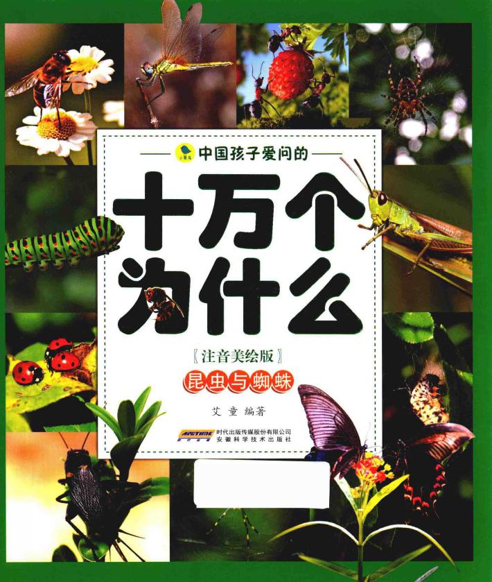 中国孩子爱问的十万个为什么  昆虫与蜘蛛  注音美绘版 封面