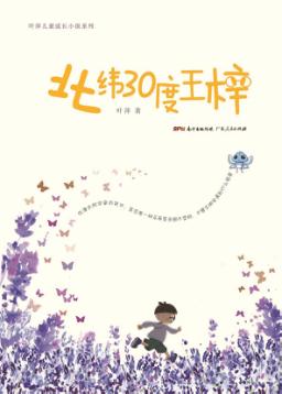 北纬30度王梓 电子书封面