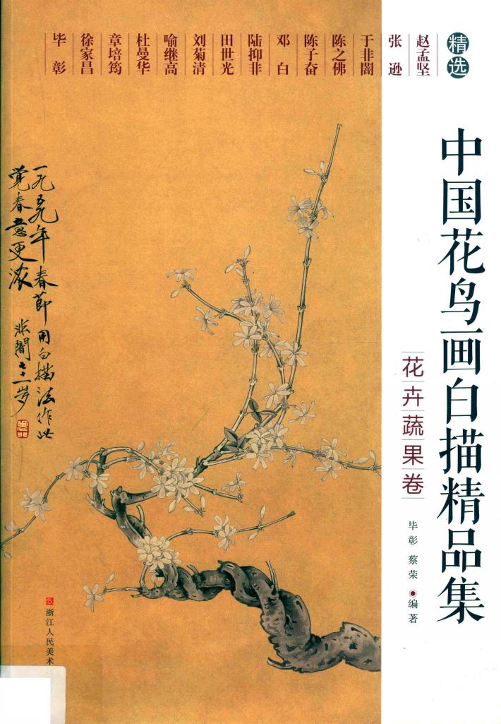中国花鸟画白描精品集 封面