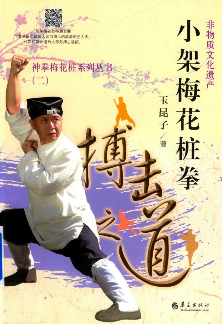 非物质文化遗产  小架梅花桩拳  搏击道 封面