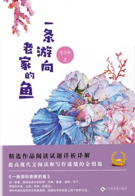 一条游向老家的鱼 封面