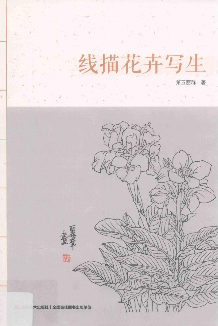 线描花卉写生 封面