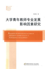 大学青年教师专业发展影响因素研究 封面