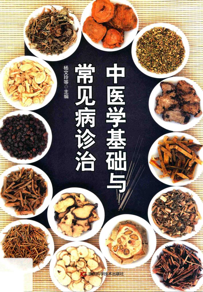 中医学基础与常见病诊治 封面