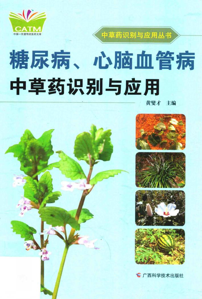 糖尿病、心脑血管病中草药识别与应用 封面