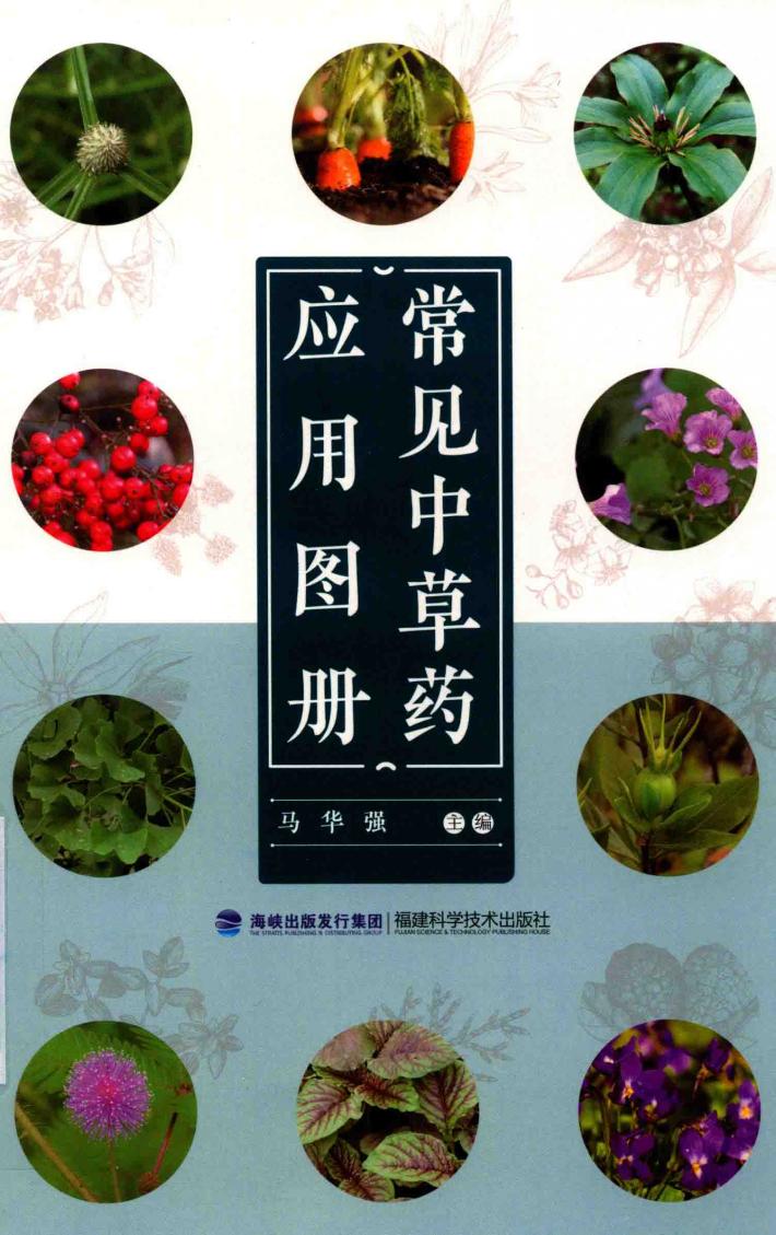 常见中草药应用图册 封面