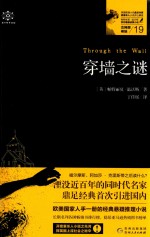 穿墙之谜  女神探希娃  19 封面