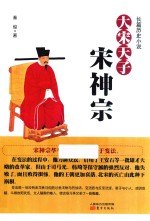 大宋天子  宋神宗 封面