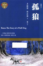 孤狼 封面