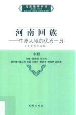 河南回族:中原大地的优秀一员  文史资料选编  中 封面