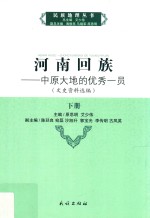 河南回族:中原大地的优秀一员  文史资料选编  下 封面