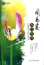 因为爱，所以坚持 封面