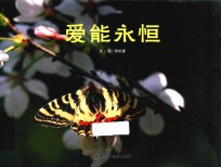 爱能永恒 封面