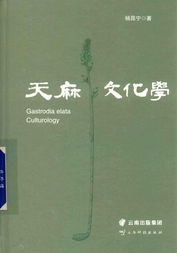 天麻文化学 封面