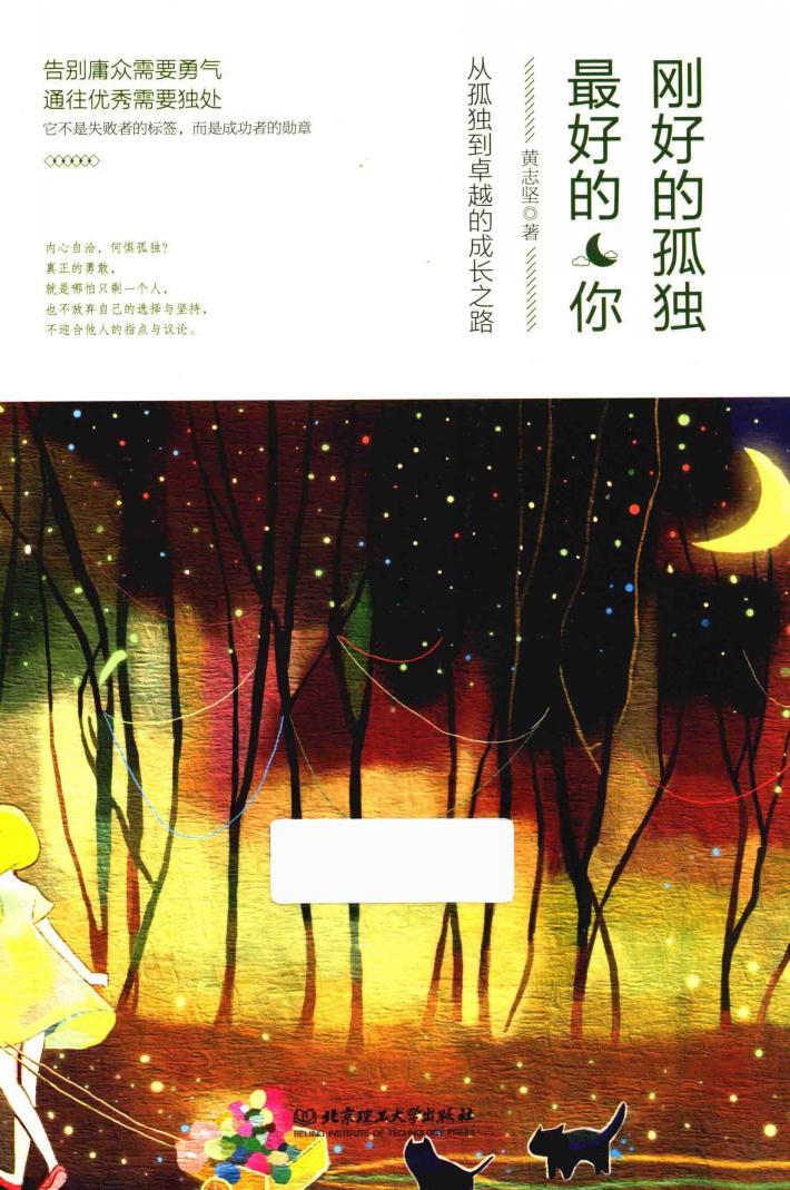 刚好的孤独，最好的你 封面