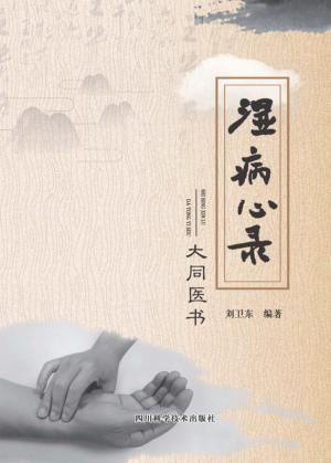 湿病心录  大同医书 封面
