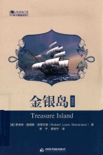 金银岛  插画版 封面