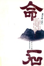 命石 封面