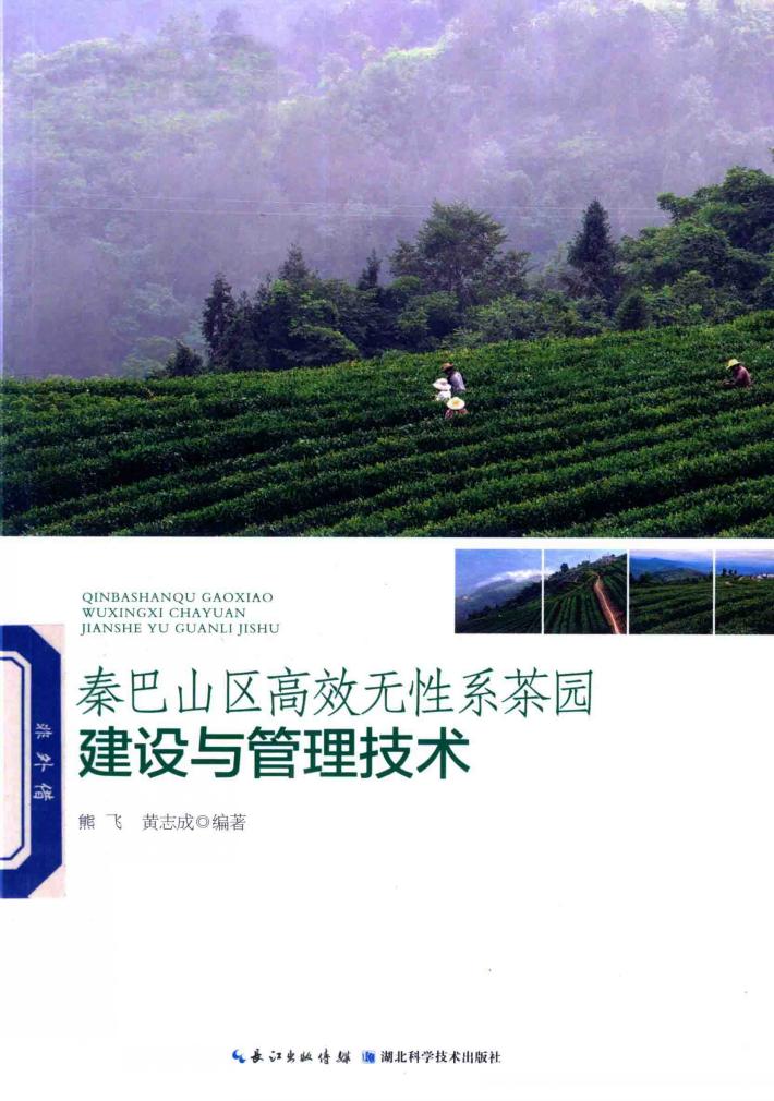 秦巴山区高效无性系茶园建设与管理技术 封面