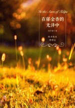 在郁金香的光泽中 封面