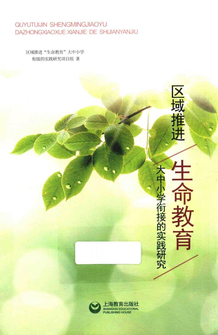 区域推进“生命教育”大中小学衔接的实践研究 封面