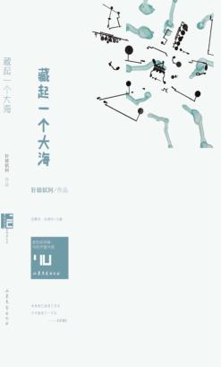 藏起一个大海 封面