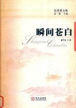 瞬间苍白 封面