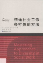 精通社会工作多样性的方法 电子书封面