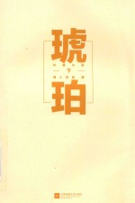 琥珀  下 封面