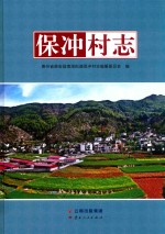 保冲村志 封面