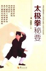 太极拳秘要 封面