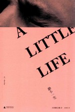 渺小一生  上 封面