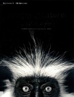 自然的影调 封面