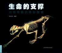 生命的支撑 封面