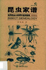 昆虫家谱  世界昆虫410科野外鉴别指南  便携版 封面