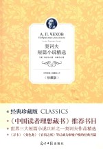 光明岛  契科夫短篇小说精选  经典珍藏版 封面