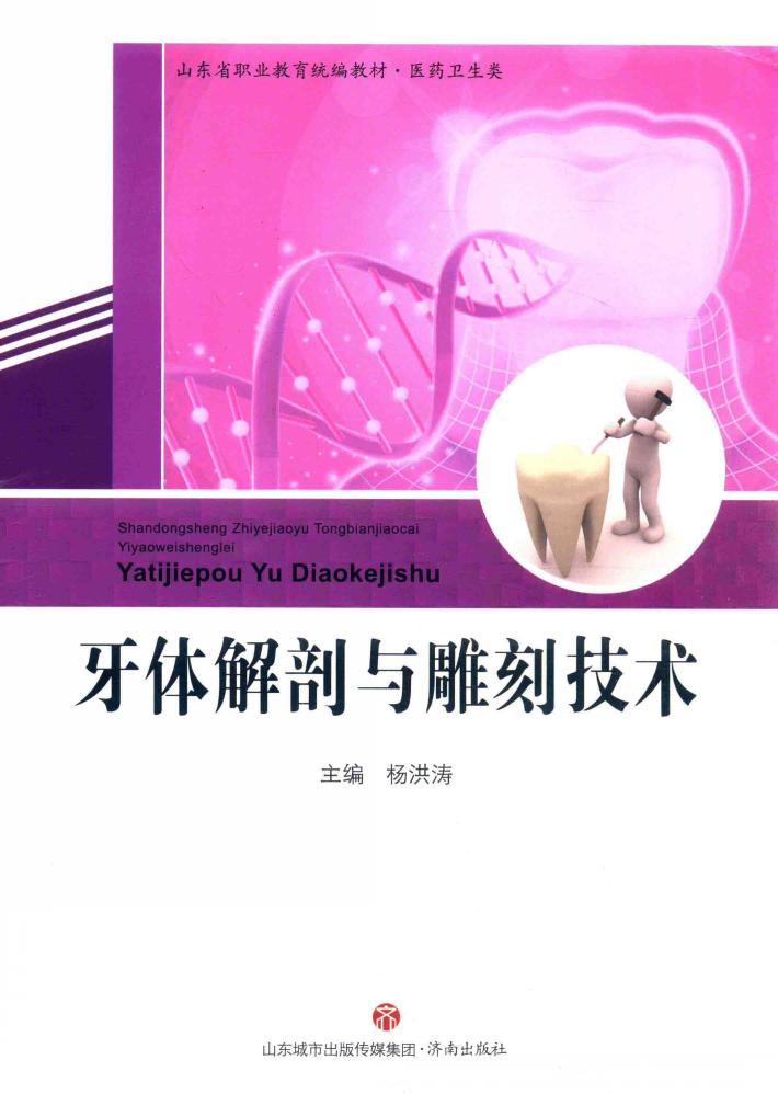 牙体解剖与雕刻技术 封面