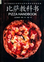 比萨教科书 封面