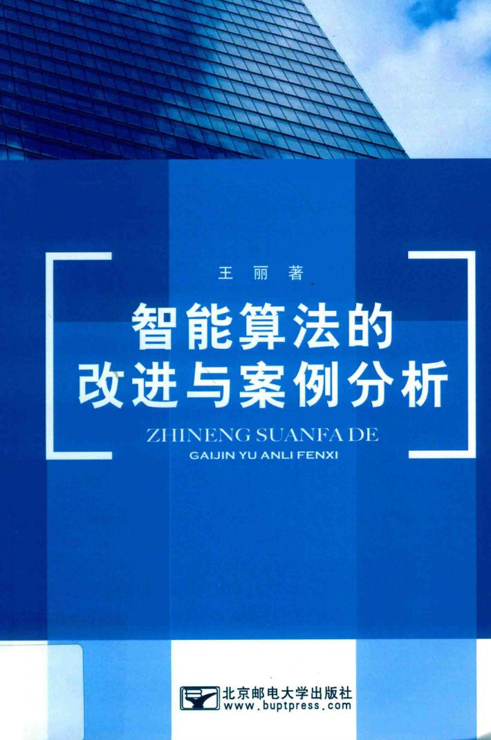 智能算法的改进与案例分析 封面