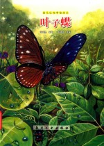 叶子蝶 封面