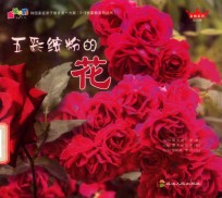 五彩缤粉的花 封面