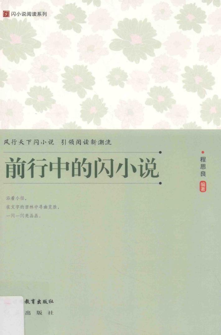 前行中的闪小说 封面