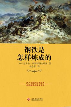 钢铁是怎样炼成的 封面