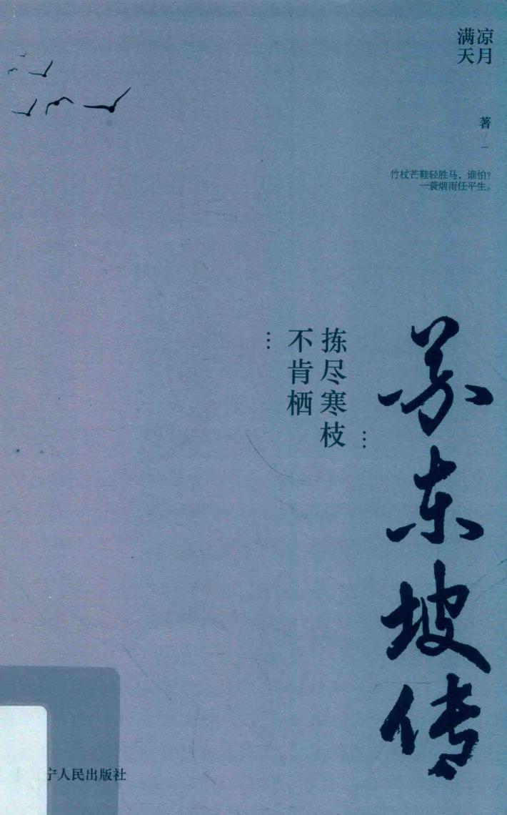 拣尽寒枝不肯栖 封面